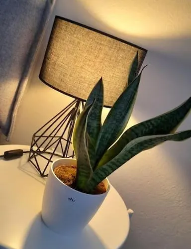 Apartament Civico 84